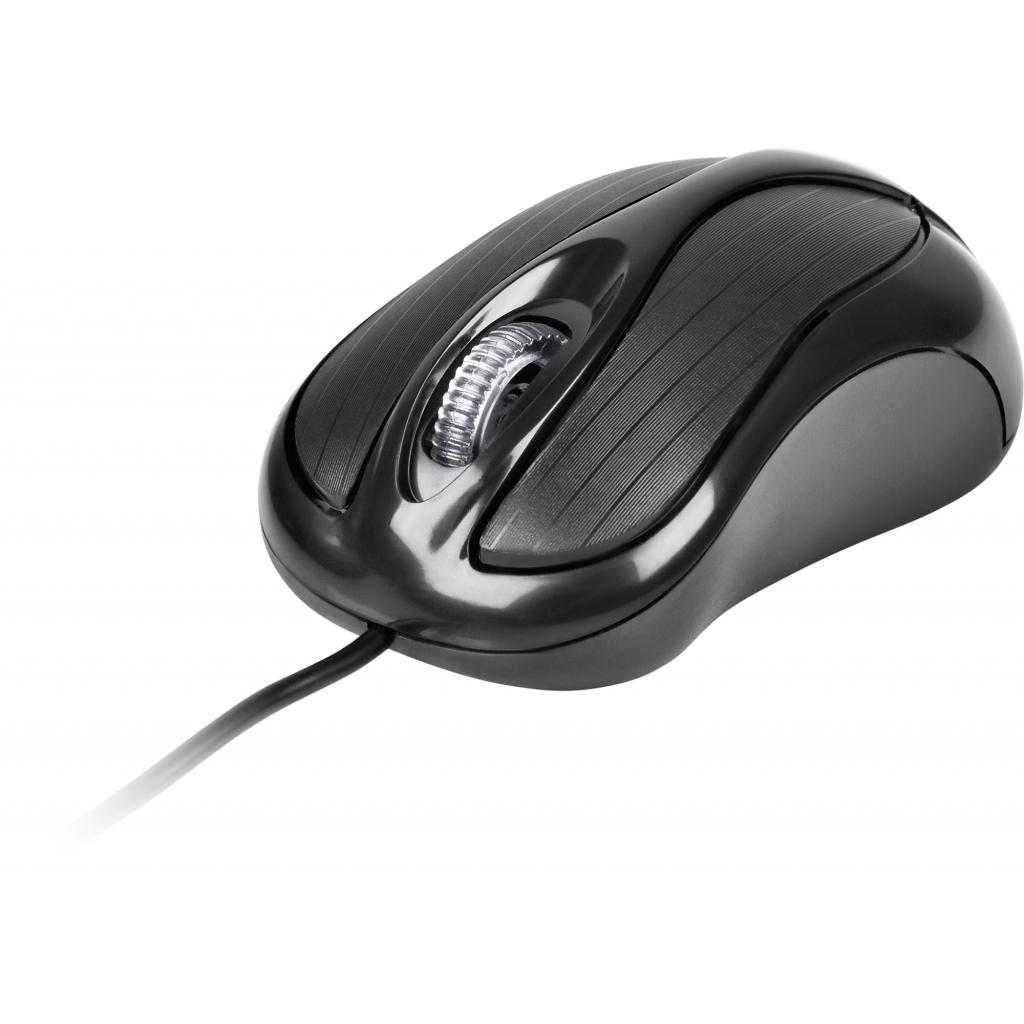 Мишка Vinga MS601BK Black USB (MS601BK), фото №2