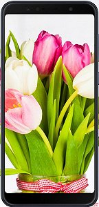 Смартфон ASUS ZenFone Max Pro (M1) 3/32GB Black (ZB602KL-4A144WW) - Фото 1