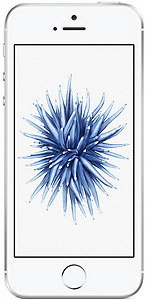 Смартфон Apple iPhone SE 2/32GB Silver (MP832UA/A) - Фото 1