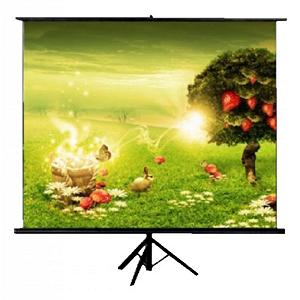 Проекційний екран ATRIA TR-NTSC-100D (TR-NTSC-100D) - Фото 1
