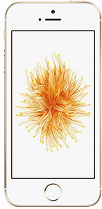 Смартфон Apple iPhone SE 2/32GB Gold (MP842UA/A) - Фото 1