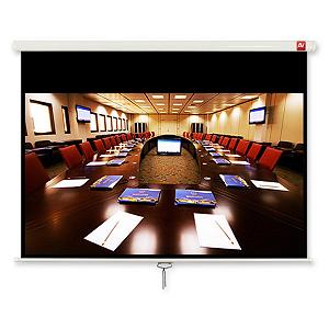 Проекционный экран Avtek Business 280 (1EVS58) - Фото 1