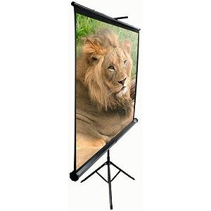 Проекційний екран Elite Screens T119UWS1 Black Case (T119UWS1) - Фото 1