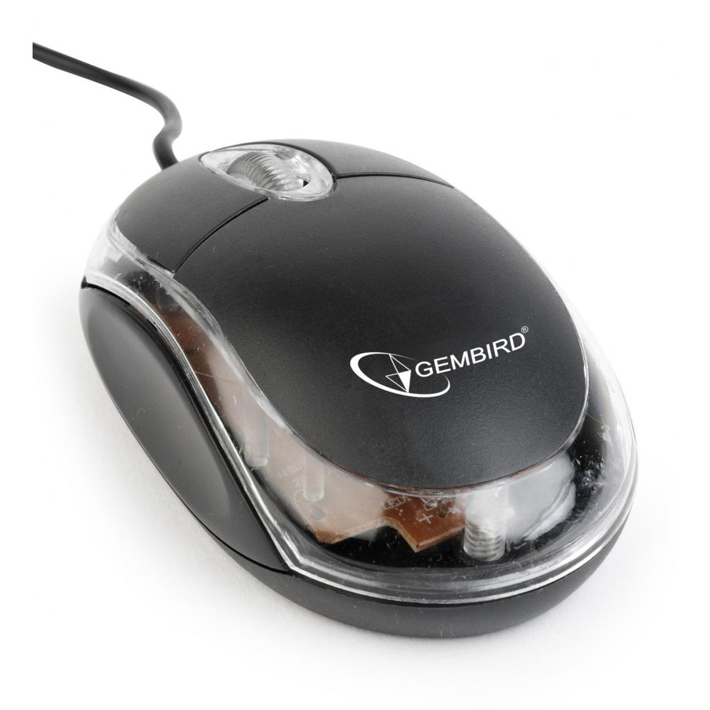 Мишка Gembird MUS-U-01-BKT Black USB (MUS-U-01-BKT), фото №1