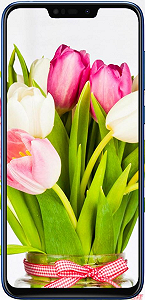 Смартфон ASUS ZenFone Max (M2) 4/32GB Midnight Black (ZB633KL-4A070EU) - Фото 1