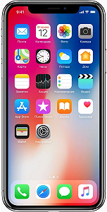 Смартфон Apple iPhone X 256Gb Space Gray (MQAF2FS/A) - Фото 1