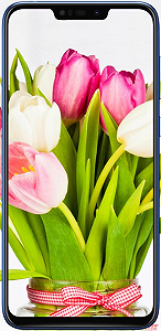 Смартфон ASUS ZenFone Max (M2) 4/32GB Meteor Silver (ZB633KL-4J072EU) - Фото 1
