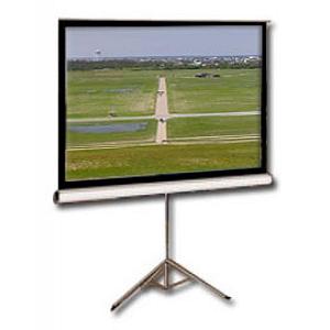 Проекційний екран Elite Screens T113NWS1 (T113NWS1) - Фото 1